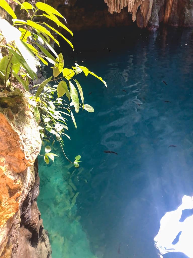 Tulum Mexico Guide Tours Cenote