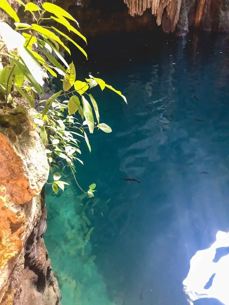 Cenote in Tulum