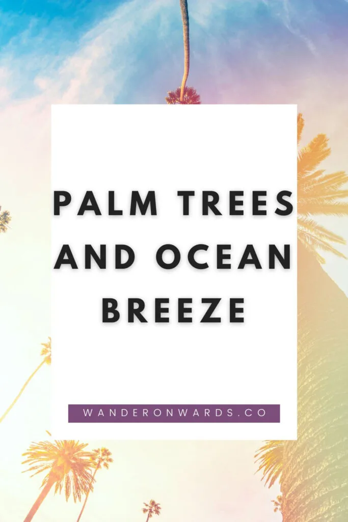 text says "palm tress and ocean breeze"